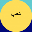 شعب سازمان دانشجویان